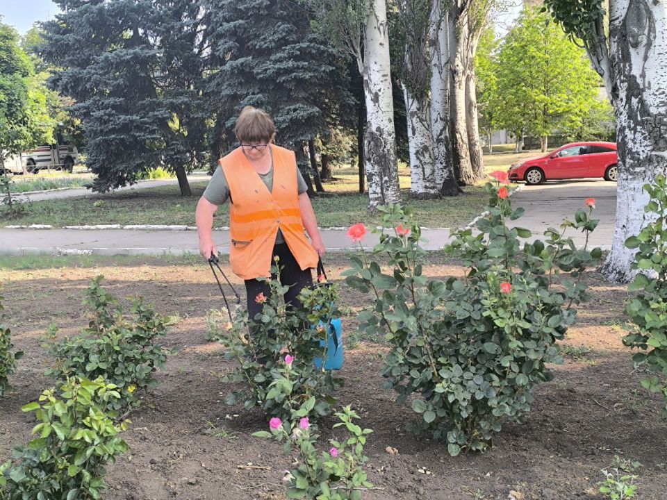 МУП администрации города Тореза "Благоустройство" продолжает выполнять работы по уборке территорий и памятников, сбора ТКО, установке автобусных павильонов на территории городского округа Торез МУП администрации города Тореза "Благоустройство" продолжает выполнять работы по уборке территорий и памятников, сбора ТКО, установке автобусных павильонов на территории городского округа Торез