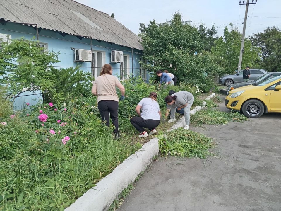 Кировчане снова объединились для наведения чистоты и порядка в городе Кировчане снова объединились для наведения чистоты и порядка в городе