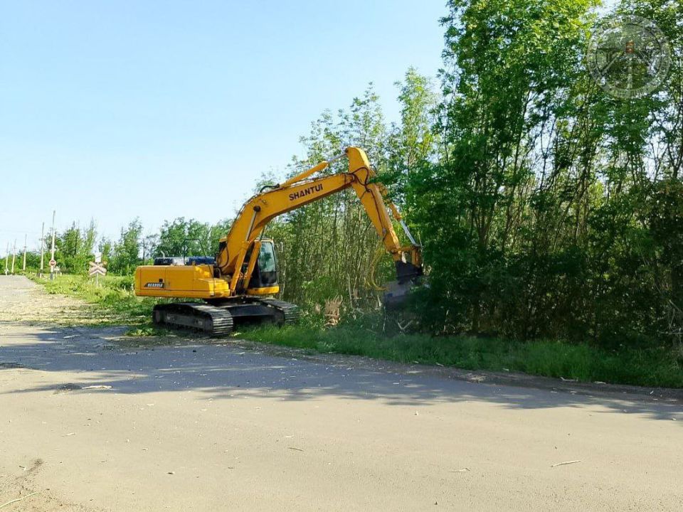 #свод_за_сутки #летнее_содержание #свод_за_сутки #летнее_содержание