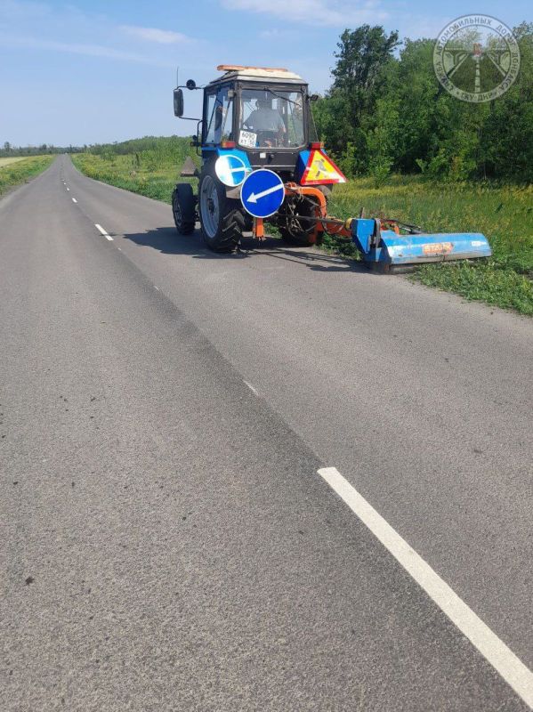 #свод_за_сутки #летнее_содержание #свод_за_сутки #летнее_содержание