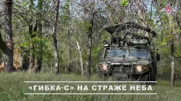         -ѻ,       