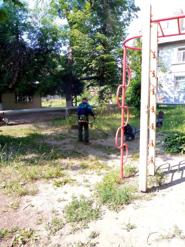 На территории городского округа Дебальцево продолжаются работы покосу сорных и карантинных трав На территории городского округа Дебальцево продолжаются работы покосу сорных и карантинных трав