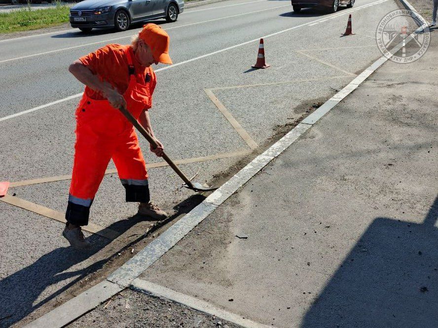 #свод_за_сутки #летнее_содержание #свод_за_сутки #летнее_содержание
