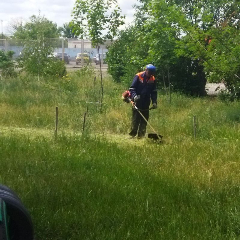 Кировчане снова объединились для наведения чистоты и порядка в городе Кировчане снова объединились для наведения чистоты и порядка в городе
