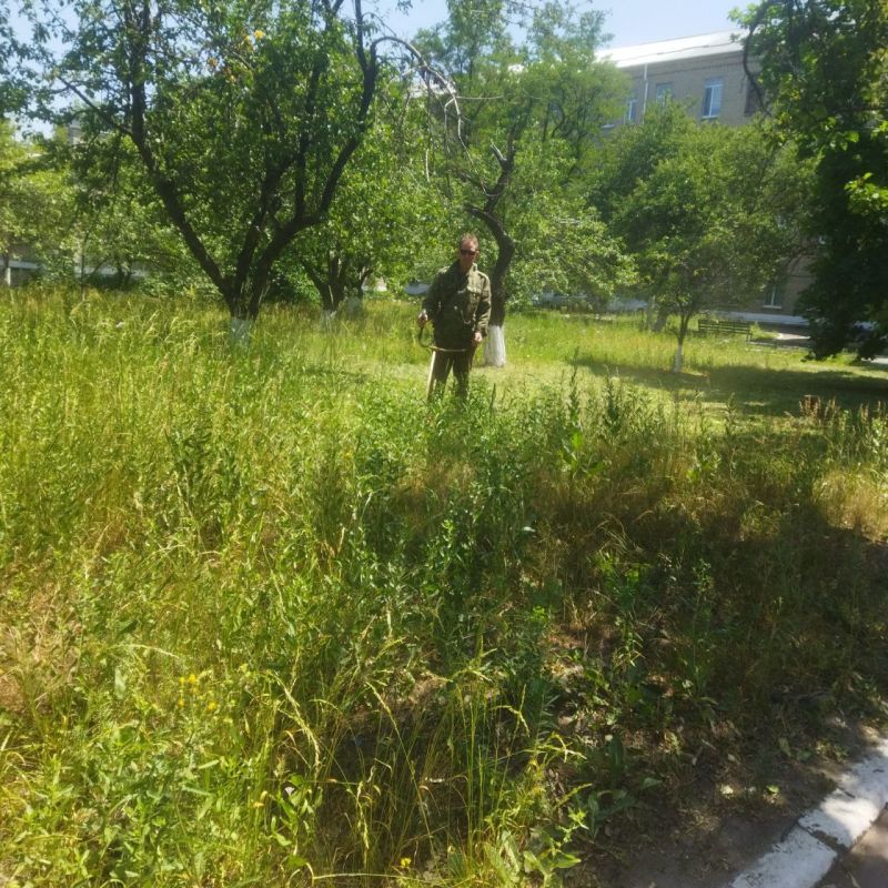 В Кировском продолжается работа по покосу и уборке карантинных трав В Кировском продолжается работа по покосу и уборке карантинных трав