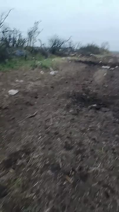  :          - 