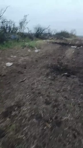  :          - 