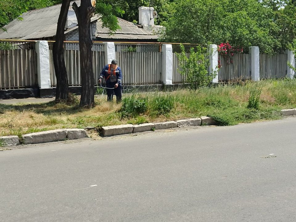В Кировском внутригородском районе продолжаются работы по покосу травы В Кировском внутригородском районе продолжаются работы по покосу травы