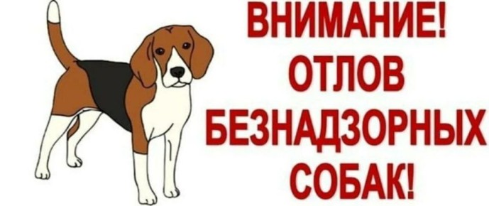  : 4               , , , -, , , , ...