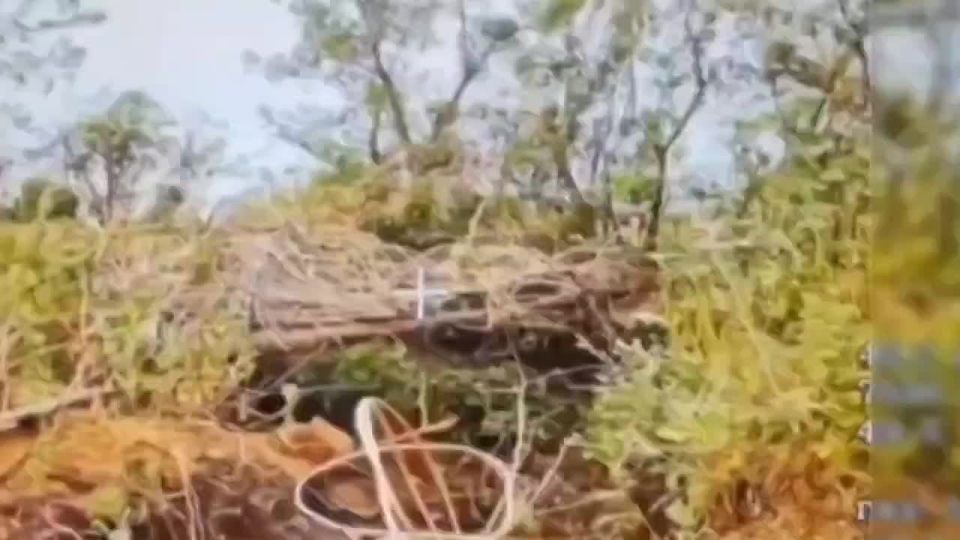  :   ,   FPV      
