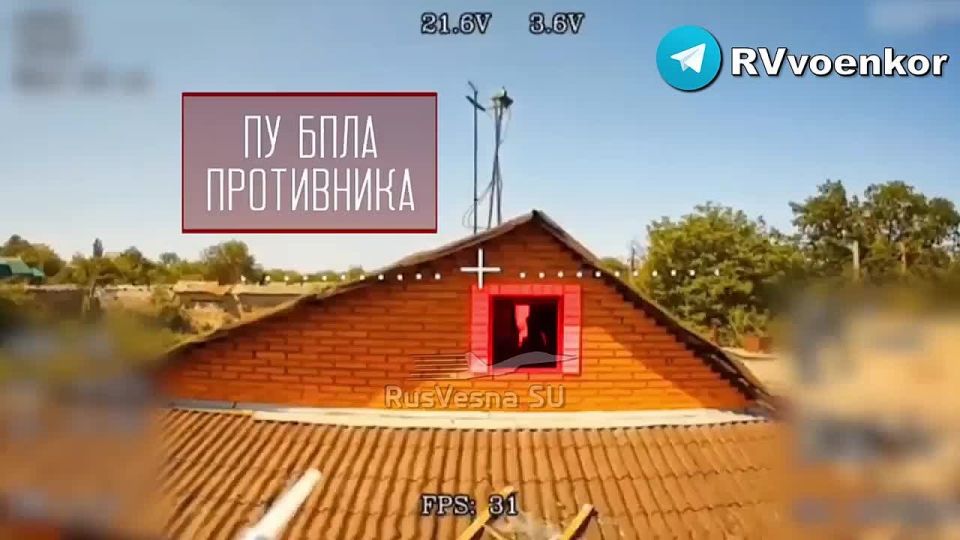    :     ,    