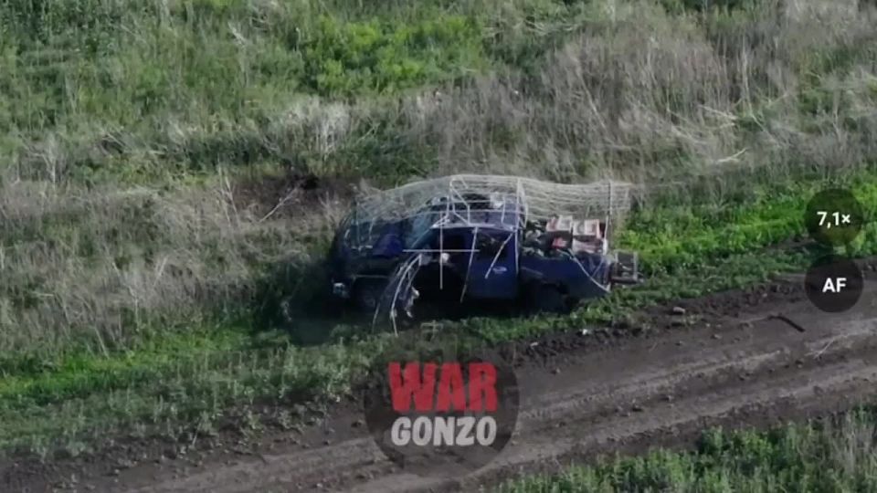 WarGonzo:       