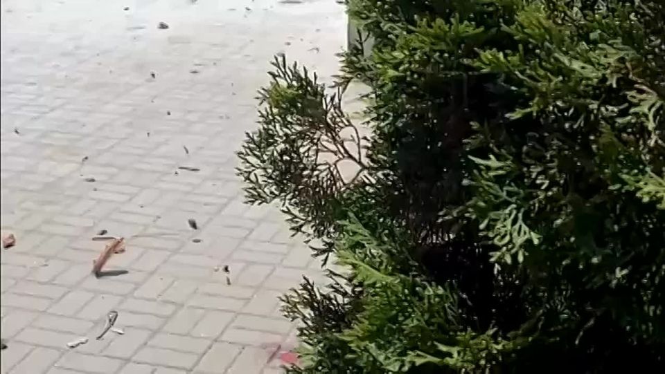          ,  