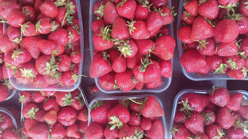 В Мариуполе прошла ярмарка с местными вкусностями В Мариуполе прошла ярмарка с местными вкусностями
