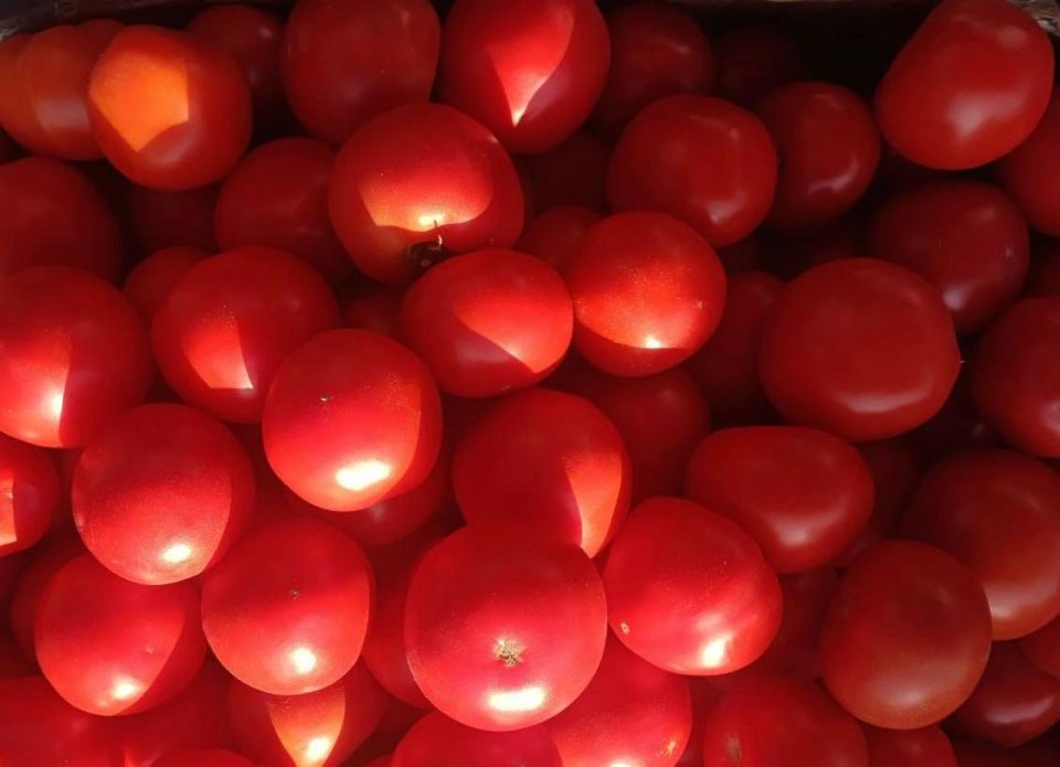 В Мариуполе прошла ярмарка с местными вкусностями В Мариуполе прошла ярмарка с местными вкусностями