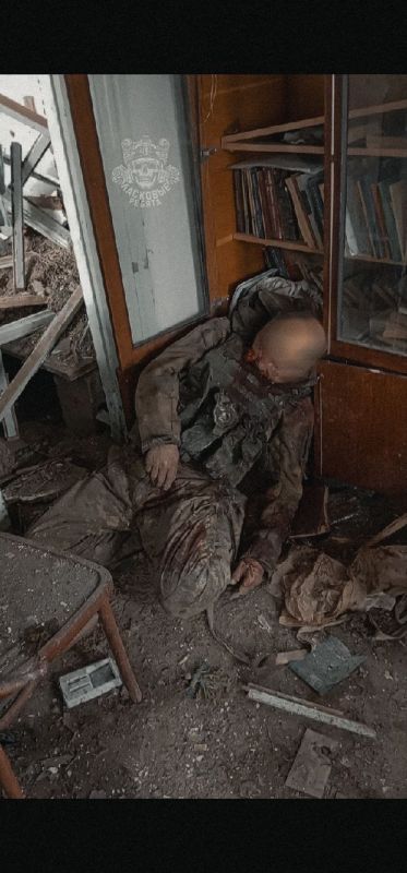 После зачистки одного из населенных пунктов в ДНР После зачистки одного из населенных пунктов в ДНР