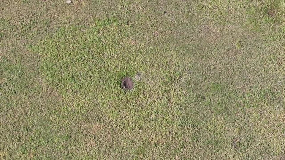 Виталий Киселев: 299-й полк на Часов Ярском направлении: точные удары по врагу