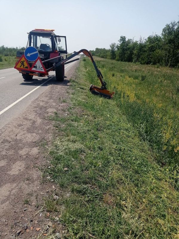 #свод_за_сутки #летнее_содержание #свод_за_сутки #летнее_содержание