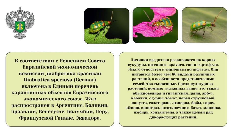 #карантинный_объект #карантинный_объект