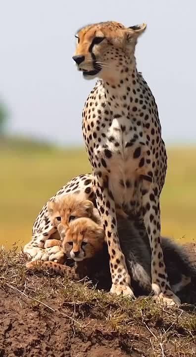 Спокойной ночи, Мариуполь!