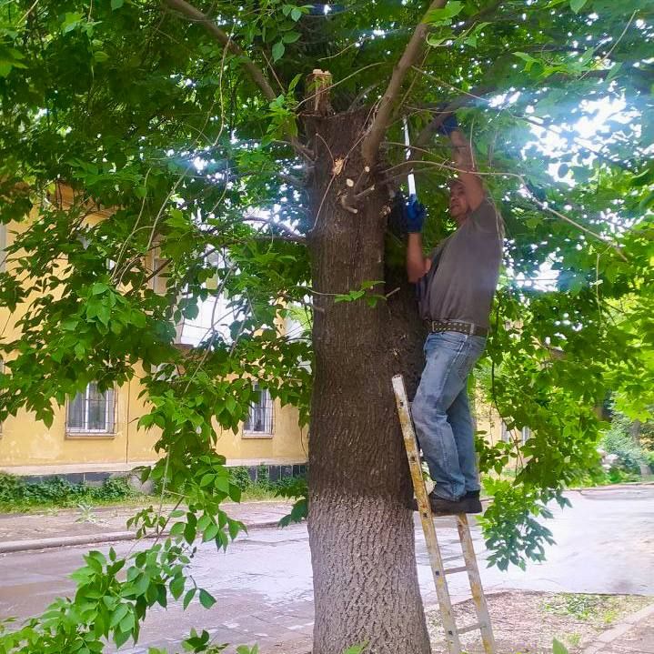 Михаил Меренков: Картина трудового дня жилищной организации Буденновского района 10 июня Михаил Меренков: Картина трудового дня жилищной организации Буденновского района 10 июня