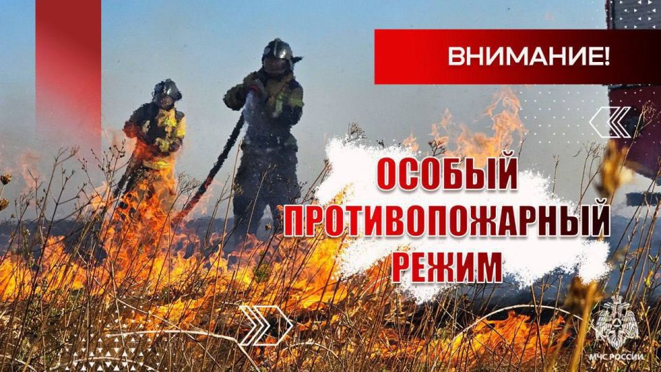 Волновахский филиал фонда «Защитники Отечества» получил помощь из Нового Уренгоя Волновахский филиал фонда «Защитники Отечества» получил помощь из Нового Уренгоя
