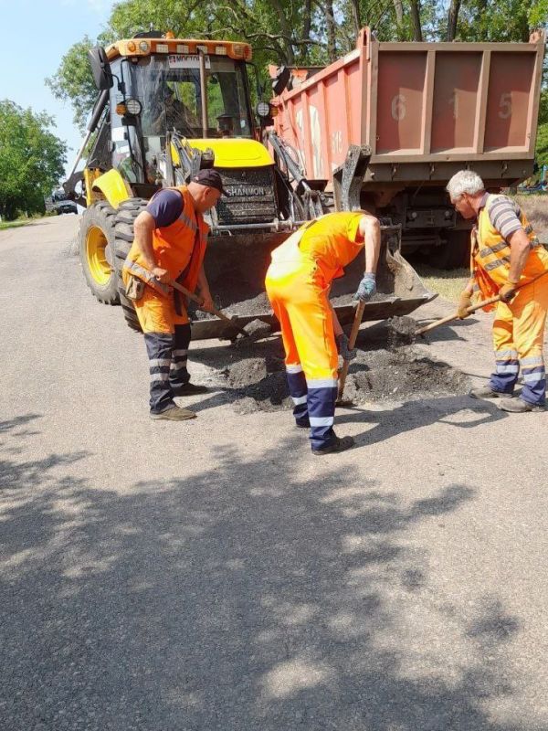 #свод_за_сутки #летнее_содержание #свод_за_сутки #летнее_содержание