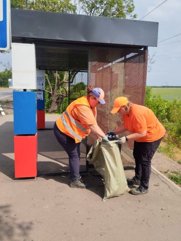 #свод_за_сутки #летнее_содержание #свод_за_сутки #летнее_содержание