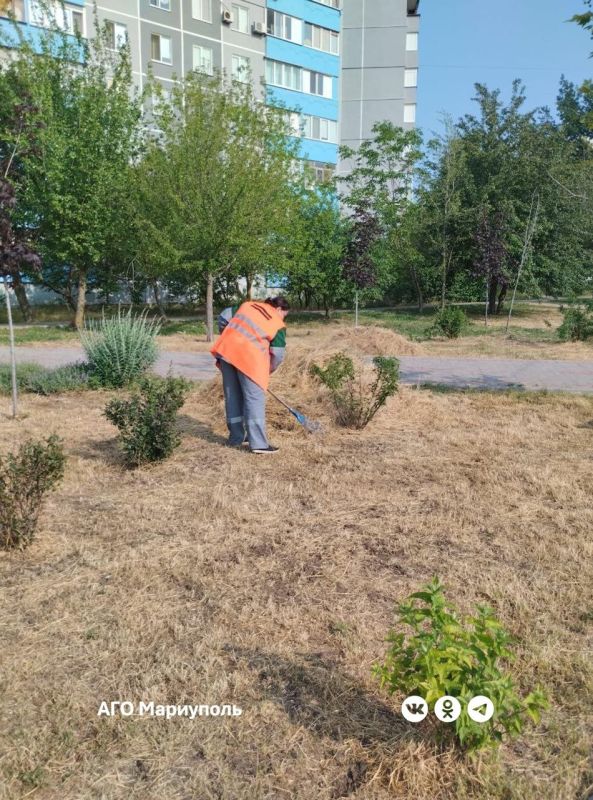 «Зеленстрой» выполняет работы по благоустройству микрорайона «Восточный» «Зеленстрой» выполняет работы по благоустройству микрорайона «Восточный»