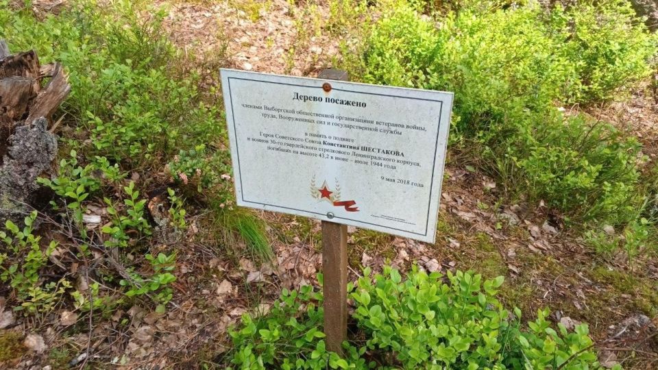 Юнармейцы из Горловки прошли по маршруту «Тропа Героя Советского Союза Константина Шестакова» в Ленобласти Юнармейцы из Горловки прошли по маршруту «Тропа Героя Советского Союза Константина Шестакова» в Ленобласти