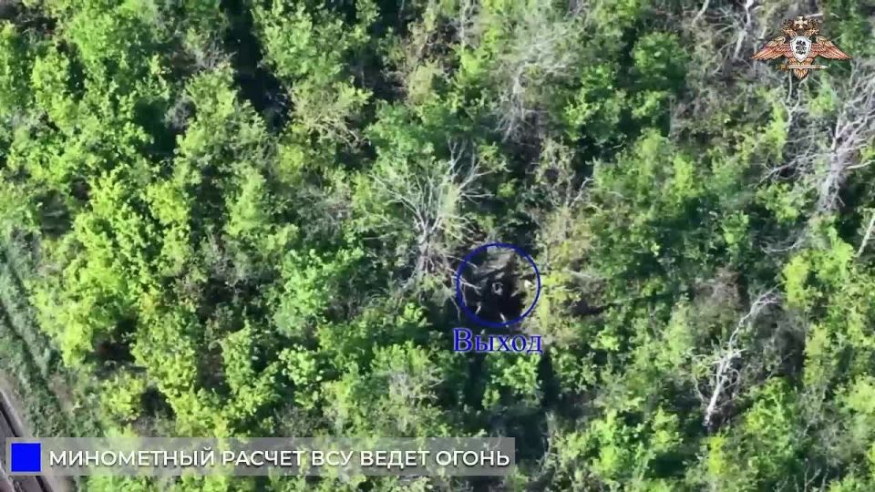 Уничтожение миномета и расчета ВСУ