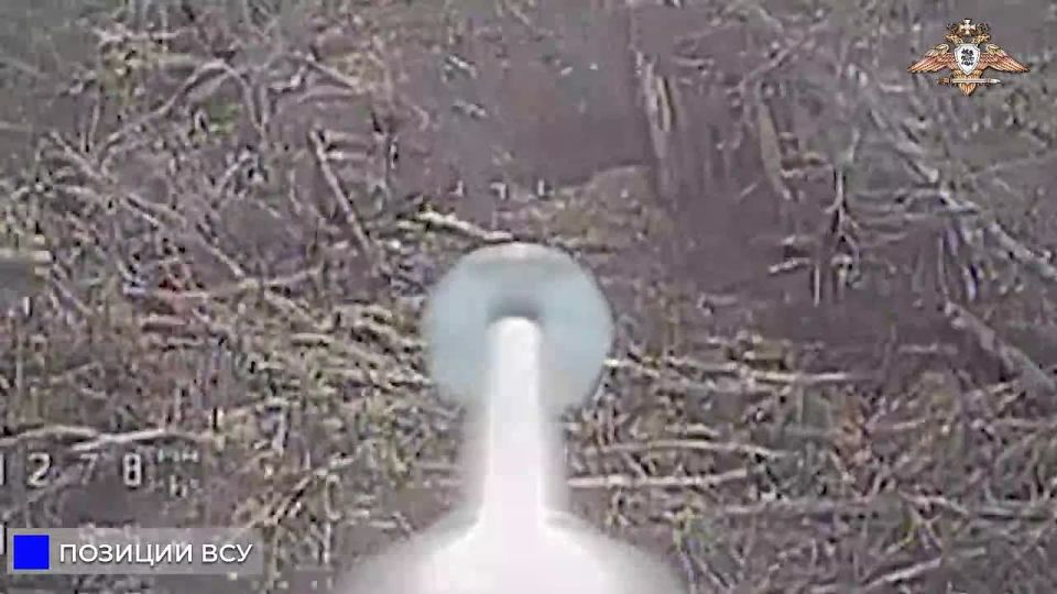   ,      20 