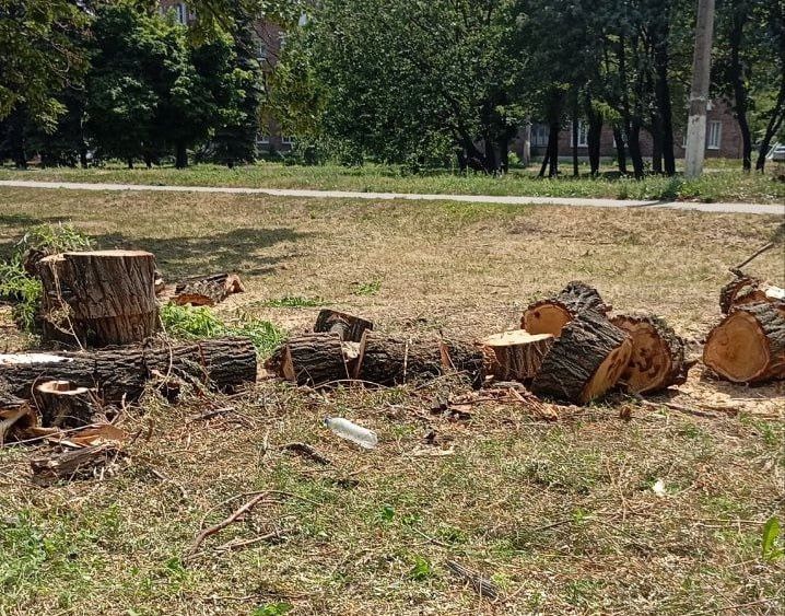 В Кировском внутригородском районе продолжаются работы по благоустройству территории В Кировском внутригородском районе продолжаются работы по благоустройству территории