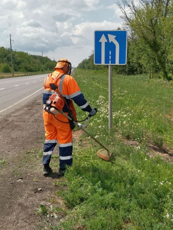 #свод_за_сутки #летнее_содержание #свод_за_сутки #летнее_содержание