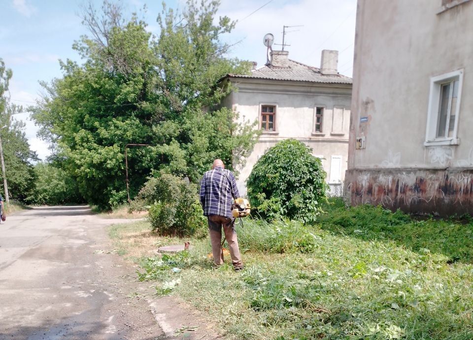 В Кировском внутригородском районе продолжаются работы по покосу травы В Кировском внутригородском районе продолжаются работы по покосу травы