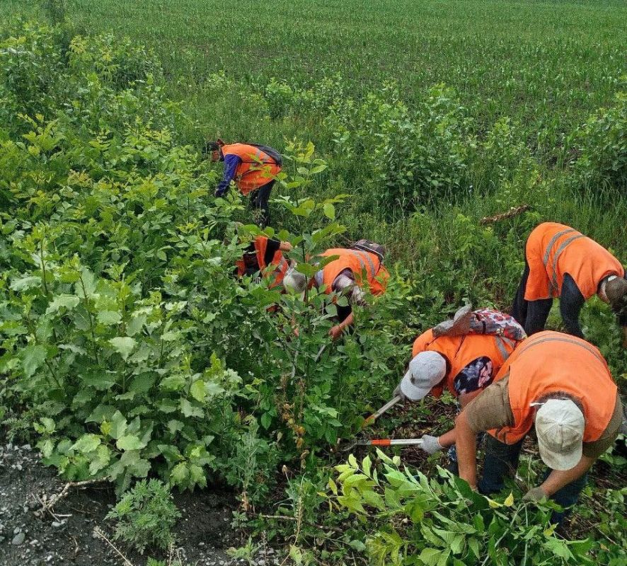 Коммунальщики Снежного продолжают благоустраивать территории общего пользования Коммунальщики Снежного продолжают благоустраивать территории общего пользования