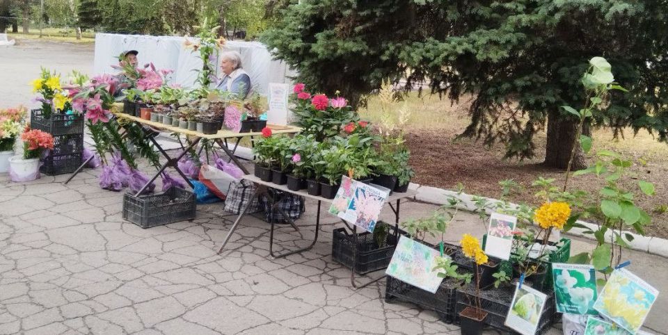 В Ждановке прошла ярмарка. 18 июня в мероприятии традиционно поучаствовали товаропроизводители и предприниматели из разных городов ДНР В Ждановке прошла ярмарка. 18 июня в мероприятии традиционно поучаствовали товаропроизводители и предприниматели из разных городов ДНР