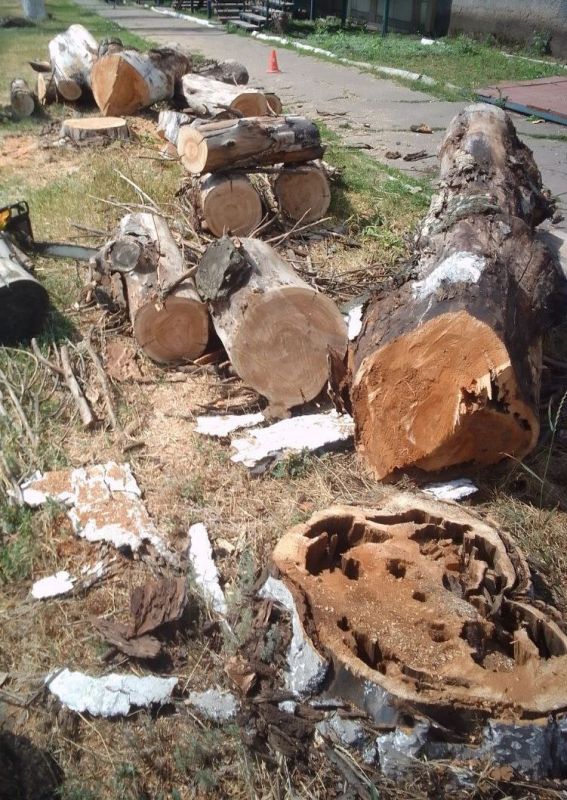 Коммунальщики Снежного продолжают благоустраивать территории общего пользования Коммунальщики Снежного продолжают благоустраивать территории общего пользования