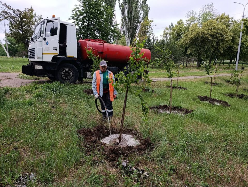«Зеленстрой» активизировал полив зеленых насаждений