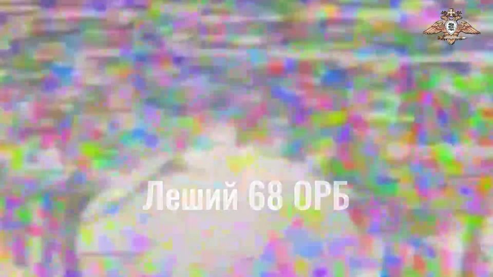         68 