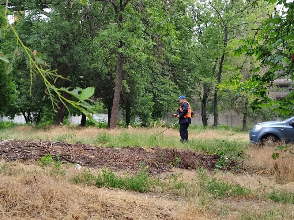 В Кировском внутригородском районе продолжаются работы по покосу травы В Кировском внутригородском районе продолжаются работы по покосу травы