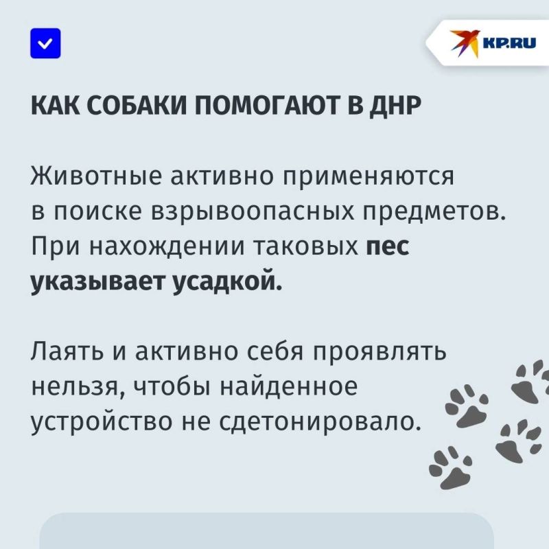 Уникальное направление обучения в ДНР: Макеевский аграрный колледж готовит будущих кинологов Уникальное направление обучения в ДНР: Макеевский аграрный колледж готовит будущих кинологов