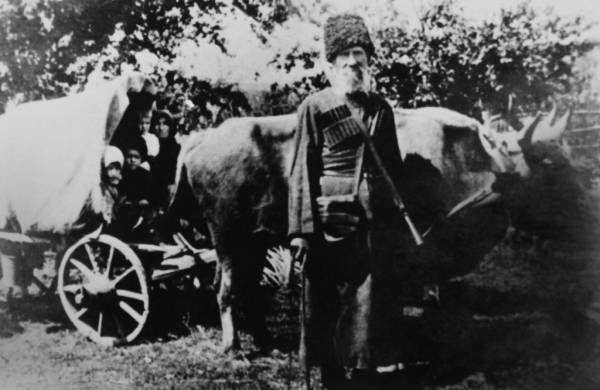 Продолжают укрепляться дружеские связи между Северским районом и Володарским муниципальным округом Донецкой Народной Республики Продолжают укрепляться дружеские связи между Северским районом и Володарским муниципальным округом Донецкой Народной Республики