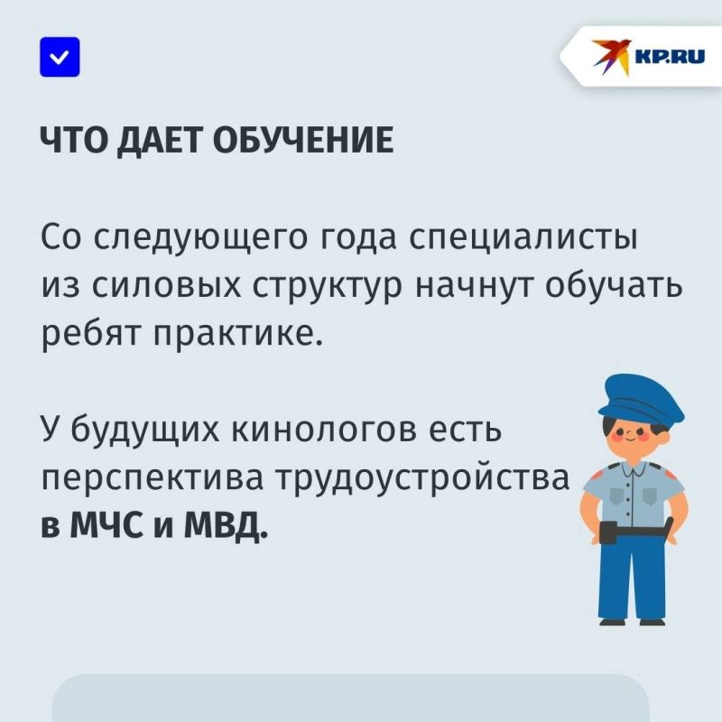 Уникальное направление обучения в ДНР: Макеевский аграрный колледж готовит будущих кинологов Уникальное направление обучения в ДНР: Макеевский аграрный колледж готовит будущих кинологов