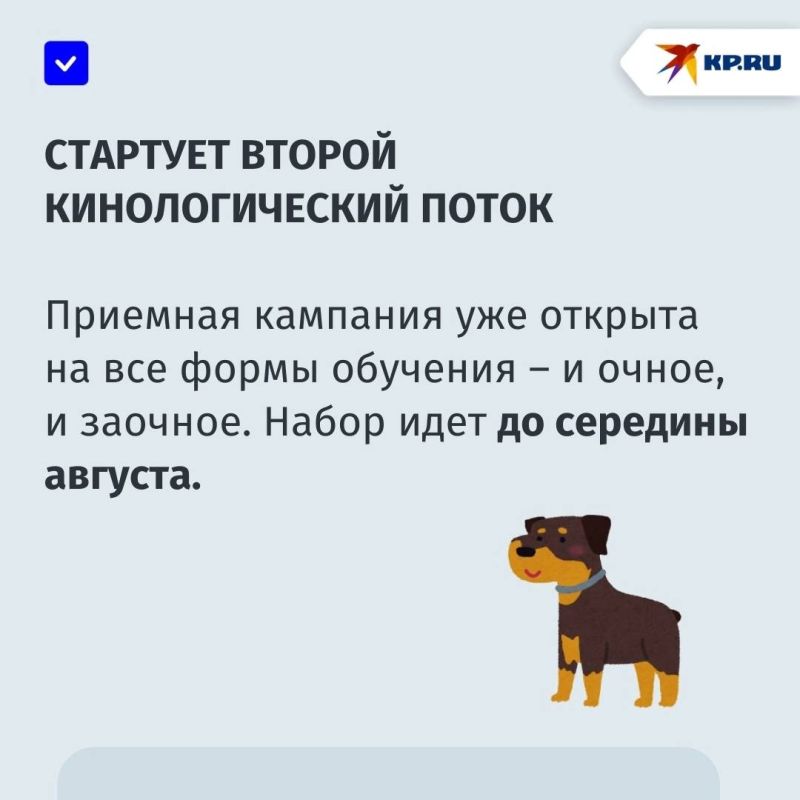 Уникальное направление обучения в ДНР: Макеевский аграрный колледж готовит будущих кинологов Уникальное направление обучения в ДНР: Макеевский аграрный колледж готовит будущих кинологов