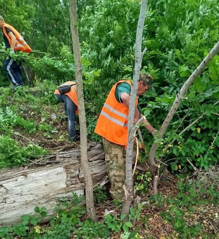 Коммунальщики Снежного продолжают благоустраивать территории общего пользования Коммунальщики Снежного продолжают благоустраивать территории общего пользования