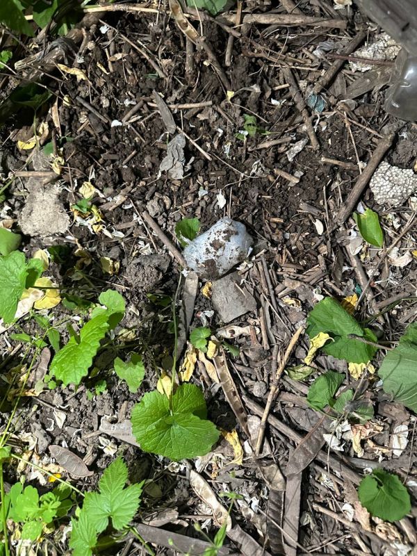 Срок до 20 лет и миллионный штраф: дончанку задержали за распространение наркотиков Срок до 20 лет и миллионный штраф: дончанку задержали за распространение наркотиков