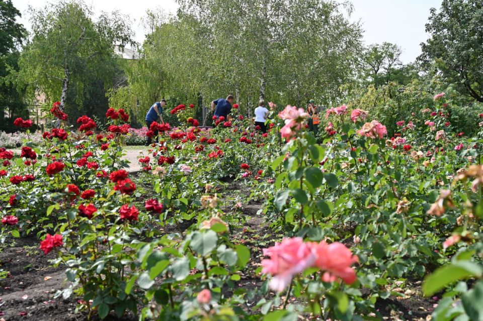 "Чистый четверг". Сотрудники Управы Куйбышевского внутригородского района вместе с депутатами Донецкого городского совета Дмитрием Пефтеевым и Сергеем Остапенко, активистами Молодёжного казачьего отряда «Карачун» и...