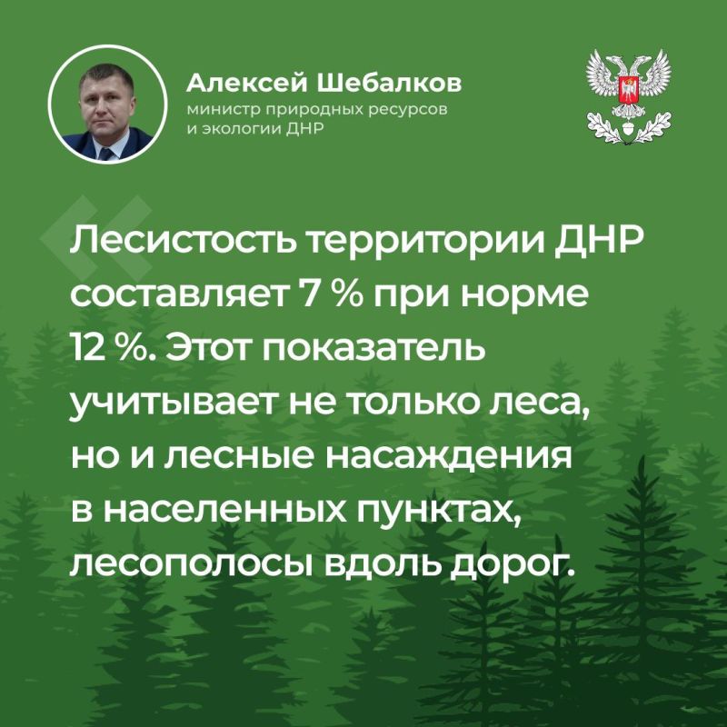 Министр Алексей Шебалков провел прямую линию, ответы приведены в карточках Министр Алексей Шебалков провел прямую линию, ответы приведены в карточках