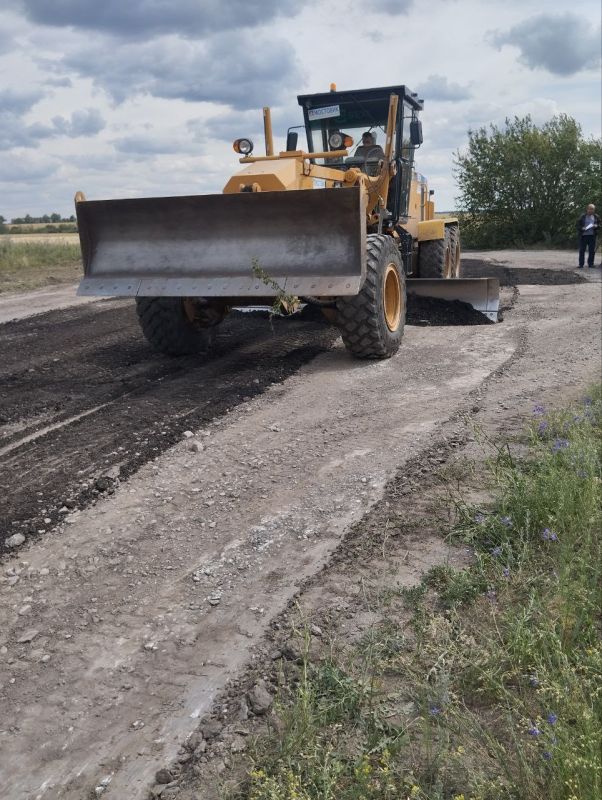 #свод_за_сутки #летнее_содержание #свод_за_сутки #летнее_содержание